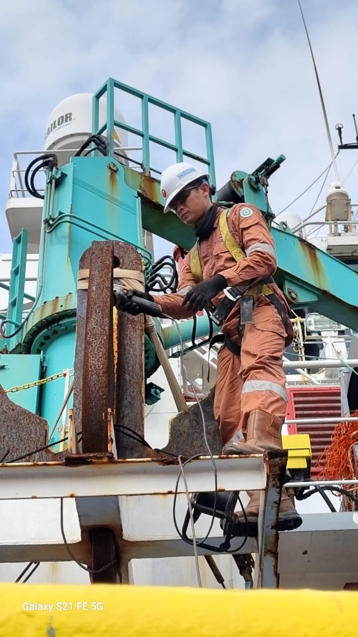 Bulk Cargo Transport